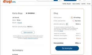 Karta długu Jana Nowaka z Poznania, ID 89458045. Wartość całkowita długu 900 zł, cena sprzedaży 850 zł. Dług do kupienia.