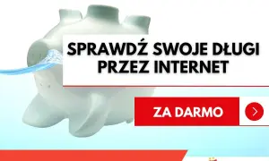Świnka skarbonka zanurzona w wodzie, napis "Sprawdź swoje długi przez internet" i przycisk "Za darmo".