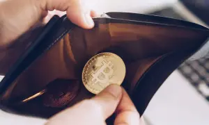 Złoty bitcoin w portfelu. Dowiedz się, jak założyć portfel krypto i zacząć inwestować.