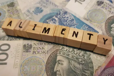 Drewniane klocki z napisem "ALIMENTY" na tle polskich banknotów.