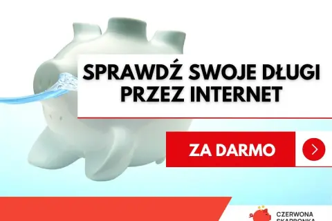 Świnka skarbonka zanurzona w wodzie, napis "Sprawdź swoje długi przez internet" i przycisk "Za darmo".