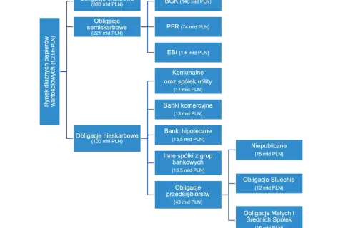 Rodzaje obligacji skarbowych i nieskarbowych: skarbowe (880 mld PLN), semiskarbowe (221 mld PLN), nieskarbowe (100 mld PLN) z podziałem na emitentów.