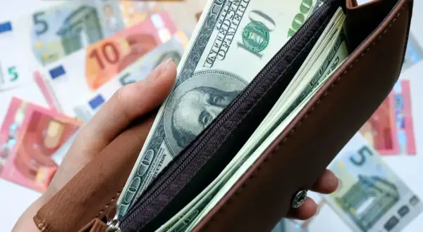 Dłoń trzyma brązowy portfel z banknotami dolarowymi, w tle widać banknoty euro.