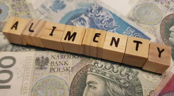 Drewniane klocki z napisem "ALIMENTY" na tle polskich banknotów.