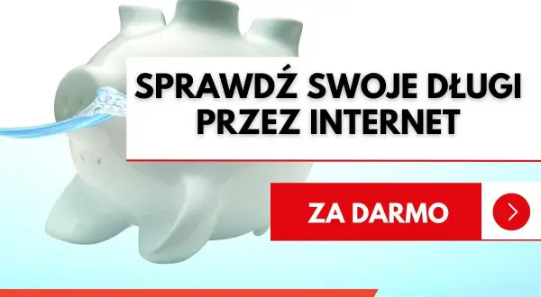 Świnka skarbonka zanurzona w wodzie, napis "Sprawdź swoje długi przez internet" i przycisk "Za darmo".
