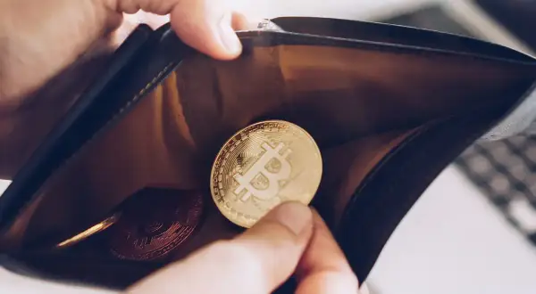 Złoty bitcoin w portfelu. Dowiedz się, jak założyć portfel krypto i zacząć inwestować.