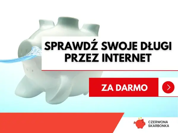 Świnka skarbonka zanurzona w wodzie, napis "Sprawdź swoje długi przez internet" i przycisk "Za darmo".